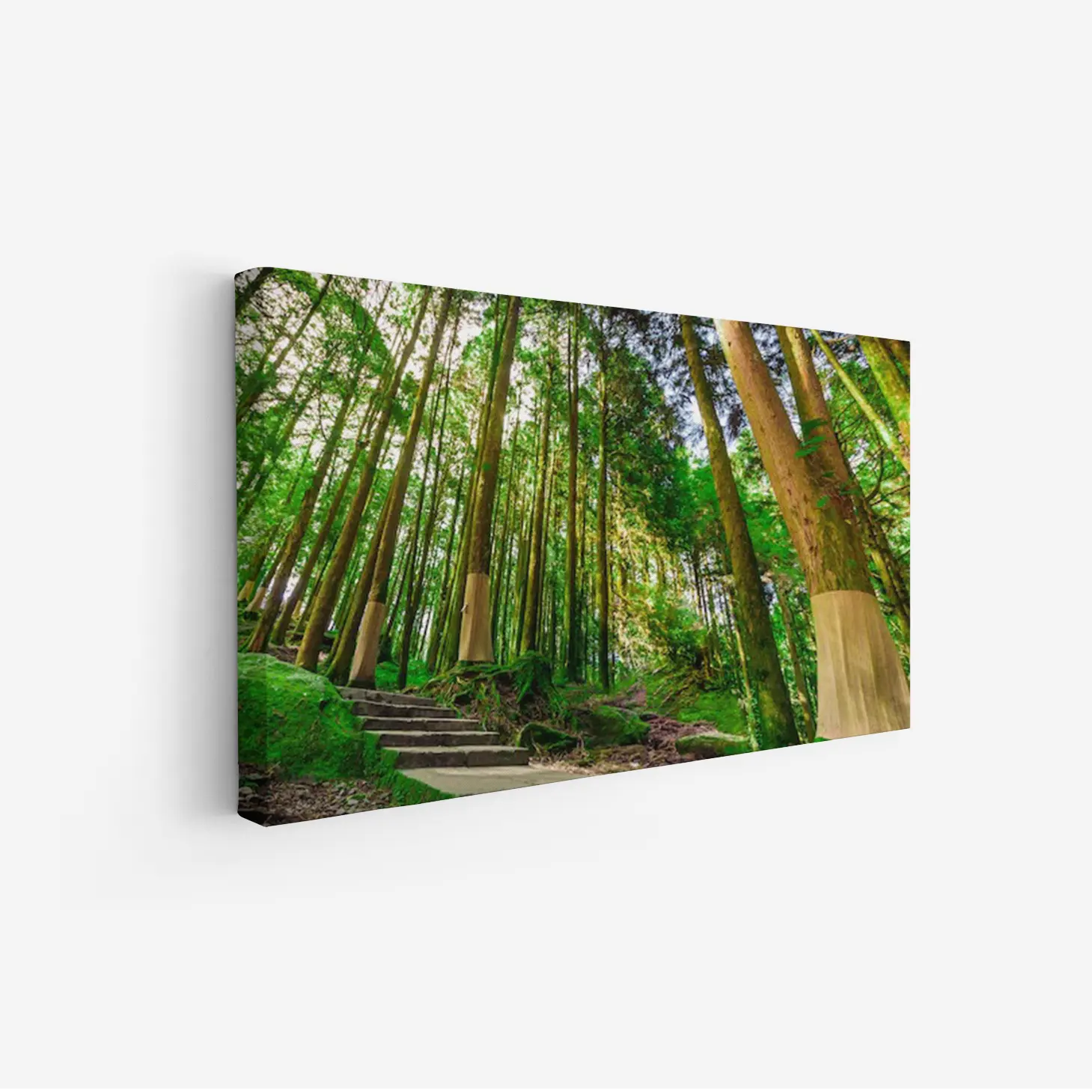 3800962_MockupOhneRhamen