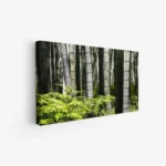 لوحة غابات - أعمدة خيزران - ألوان خضراء - هادئ - لوحات طبيعة - لوحات كانفاس