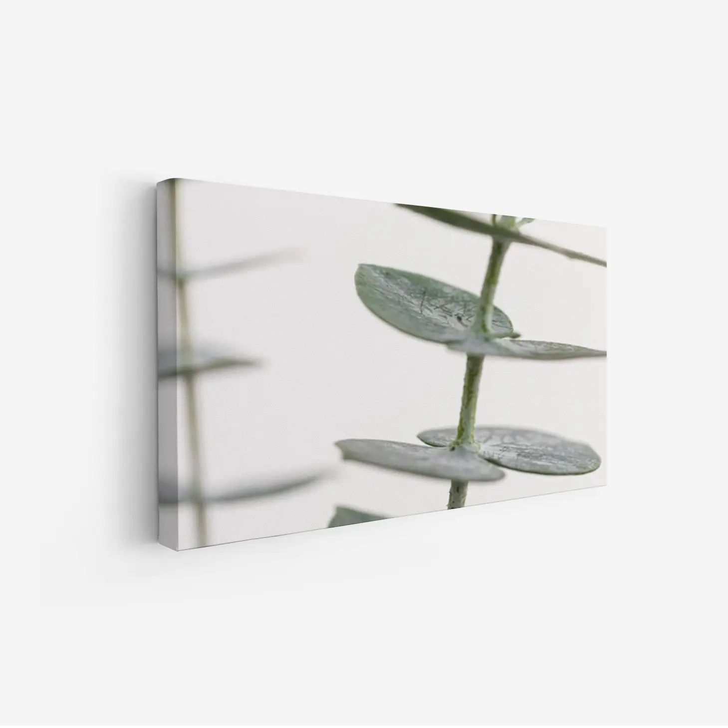 3801001_MockupOhneRhamen