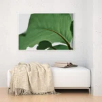 3801034_MockupOhneRhamen