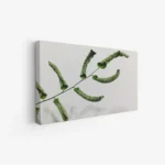 3801044_MockupOhneRhamen