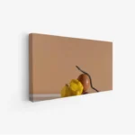 لوحة فواكه - كوسة وبيضة - خلفية دافئة - هادئ - لوحات فنية مودرن - لوحات كانفاس