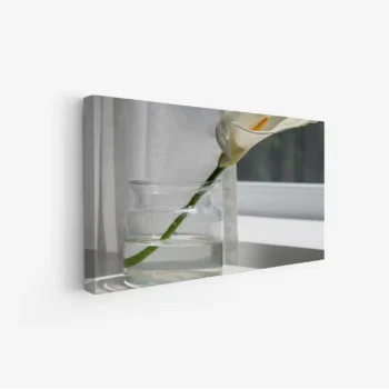 لوحة زهور - زهرة بيضاء - خلفية بسيطة - هادئ - لوحات طبيعة - لوحات كانفاس، لوحات جدارية