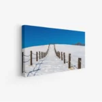 لوحة طبيعة هادئة - درب ثلجي - سماء زرقاء - مشمس - لوحات طبيعة - لوحات كانفاس