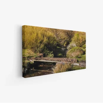 لوحة طبيعة هادئة - جسر خشبي - أعشاب خضراء - هادئ - لوحات طبيعة - لوحات كانفاس