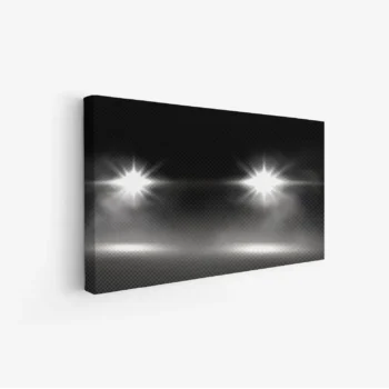 لوحة طبيعة هادئة - أضواء ساطعة - خلفية داكنة - درامي - لوحات فن عصري - لوحات كانفاس