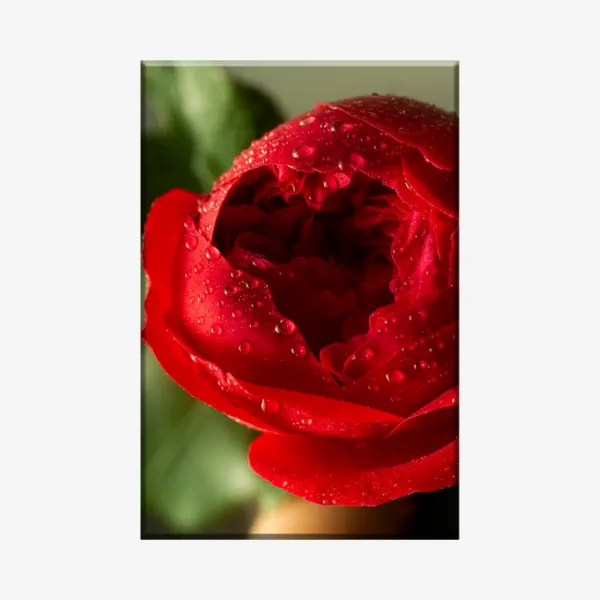3803036_MockupOhneRhamen
