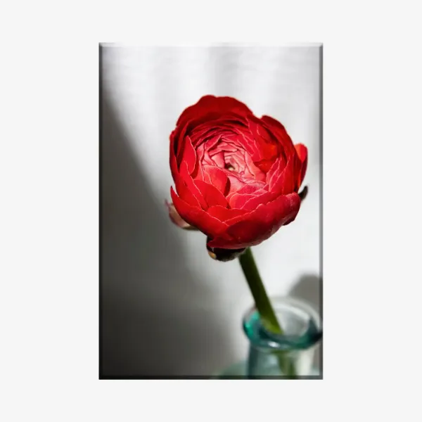 3803039_MockupOhneRhamen