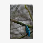 3803360_MockupOhneRhamen