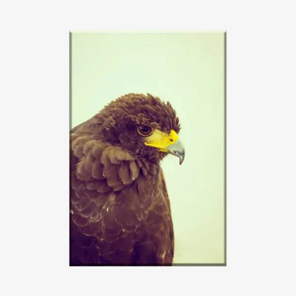 3803361_MockupOhneRhamen