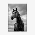 لوحة خيل - خيل جميل - سماء غائمة - درامي - لوحات فن عصري - لوحات كانفاس
