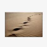لوحة طبيعة هادئة - آثار أقدام على الرمال - ألوان دافئة - هادئ - لوحات طبيعة - لوحات كانفاس