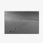 لوحة طبيعة هادئة - آثار أقدام على الرمال - سماء صافية - هادئ - لوحات طبيعة - لوحات كانفاس