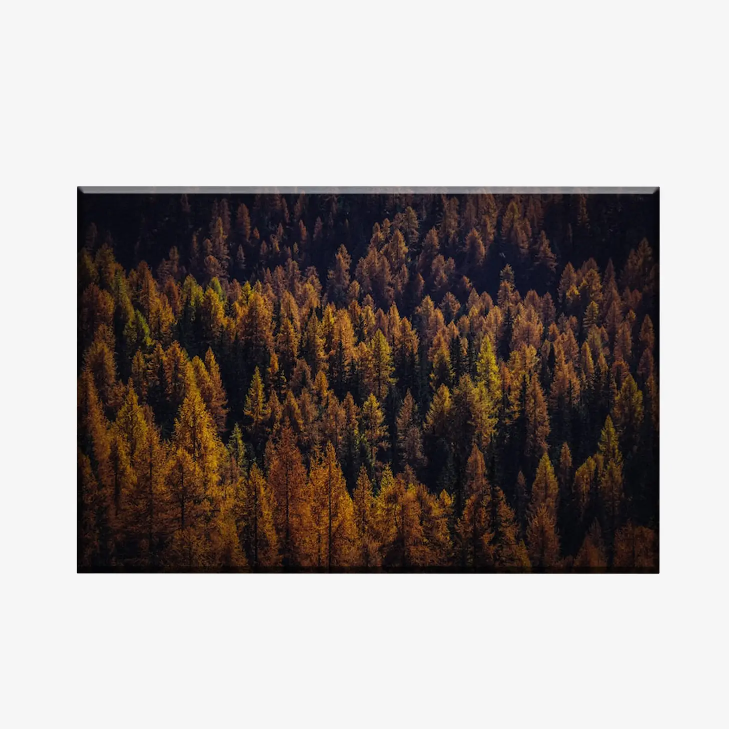 WL3803472_MockupOhneRhamen WL3803472_MockupOhneRhamen