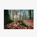 WL3803481_MockupOhneRhamen