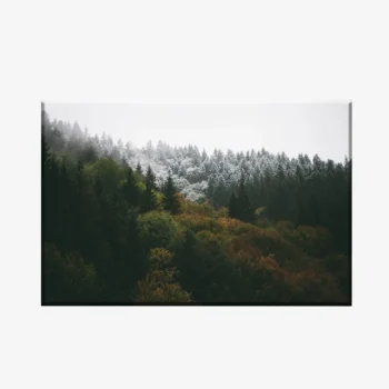 WL3803484_MockupOhneRhamen