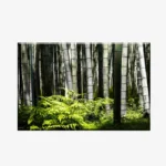 WL3803486_MockupOhneRhamen