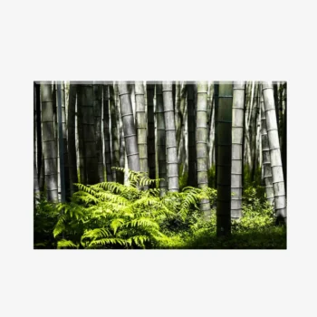 WL3803486_MockupOhneRhamen