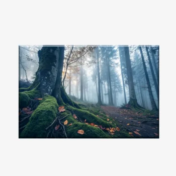 WL3803489_MockupOhneRhamen
