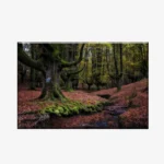 WL3803490_MockupOhneRhamen