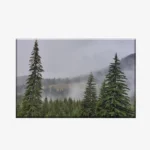 WL3803491_MockupOhneRhamen