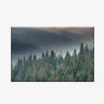 WL3803495_MockupOhneRhamen