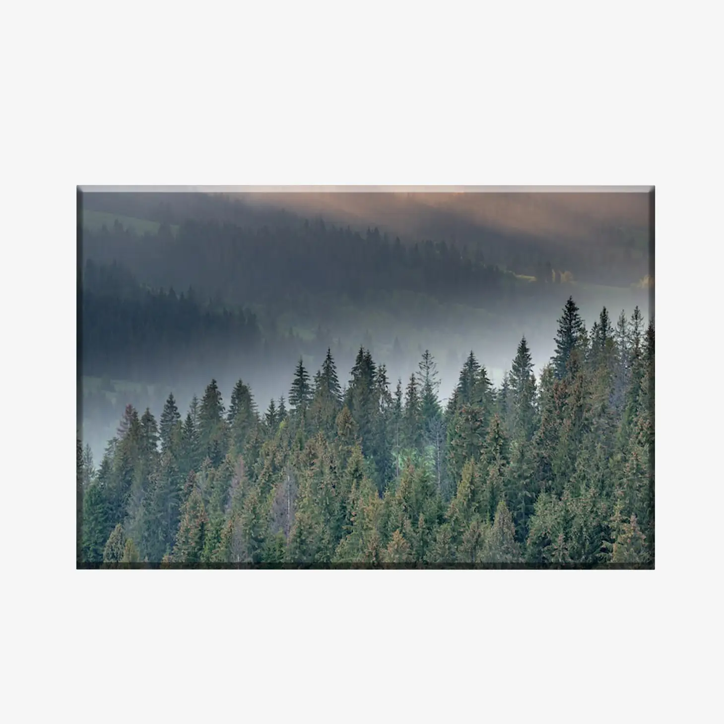 WL3803495_MockupOhneRhamen WL3803495_MockupOhneRhamen