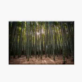 WL3803496_MockupOhneRhamen