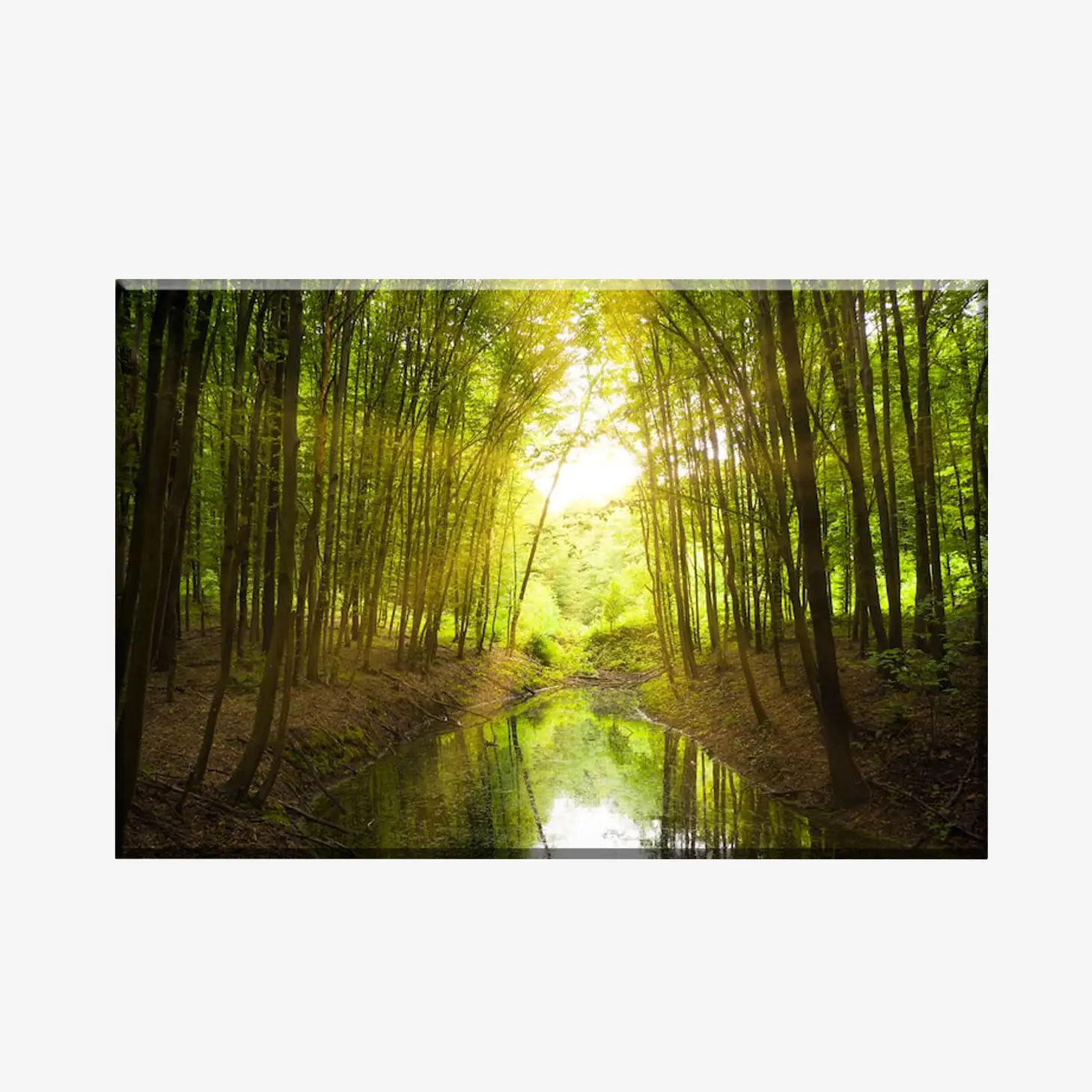 WL3803497_MockupOhneRhamen WL3803497_MockupOhneRhamen