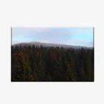 WL3803505_MockupOhneRhamen