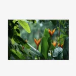 اوحات كانفاس جدارية نباتات  PLA7